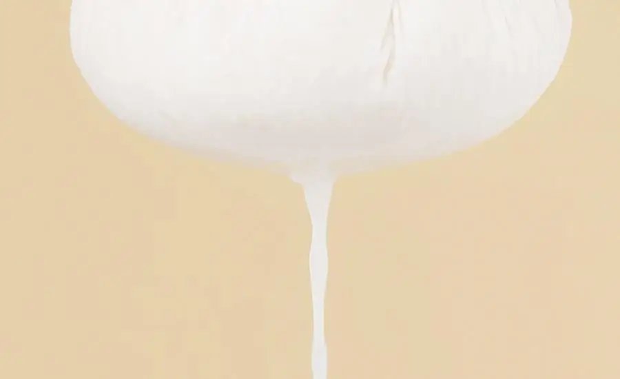 [레이PICK/보습광채] 풀리 쌀 세라 에센스 토너 250ml 상세페이지 15